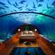 Illustration for article titled The Perfect Loft Is Under the Sea